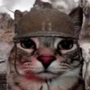 zafkofan avatar