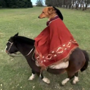 avatar Apple Customer Support