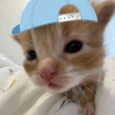 avatar cat