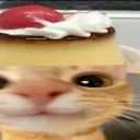 harmlesscat