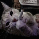 glaivefan881#5757's avatar