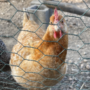 avatar -b±√√b2-4ac.