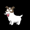 mooyongdoggo