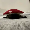 Аватар floz9130