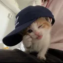 .viperino