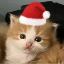 kittithat101