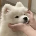 wzchung