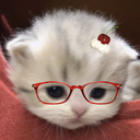 avatar ami