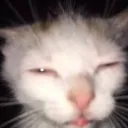 soymikegg
