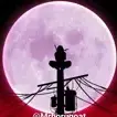 animesenpei