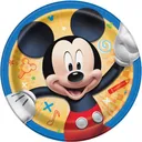 mickeymeme2970