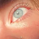 juliasnotlive