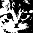 avatar NotSleepy