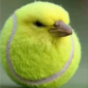 avatar Pikkuleipa