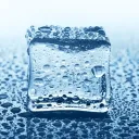 ice_law