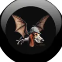 crypknowabsrbr