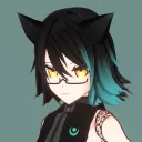 robin_vt0115