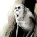 moistspaghetti1943 avatar