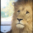 avatar madam superior the illustrious