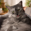 avatar EuLe_95_#1438908