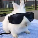 the_mr_judas