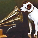 avatar Cold Like Minnesota