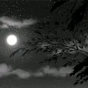 nobu_op