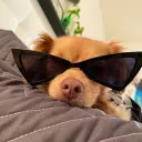 angrylilazngrl