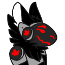 cadooter avatar