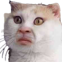 avatar jjeybe