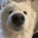 avatar 害羞靦腆內向男大