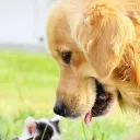 bantiancanyue7442 avatar