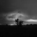 seba12924#7334's avatar