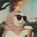 Discord Avatar