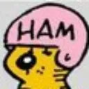 hamlox