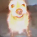 bangbangboomy avatar