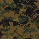 majorgray4138