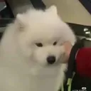 nuttt_1129