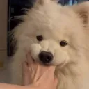 nuttt_1129