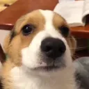 unkn0wuser.