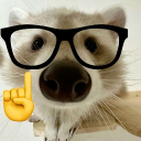 avatar 𝖎𝖑𝖎𝖓𝖈𝖆★