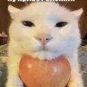 melenchamp