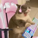 scherealeowo