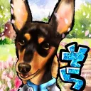 sorachan118