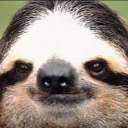 user_kqit556v9x9el042 member profile picture