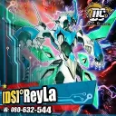 [DS]Reyla's Avatar