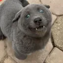 inufinity