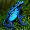 cyber_the_rider avatar