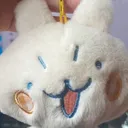 bitbunny