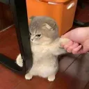 .kel_m